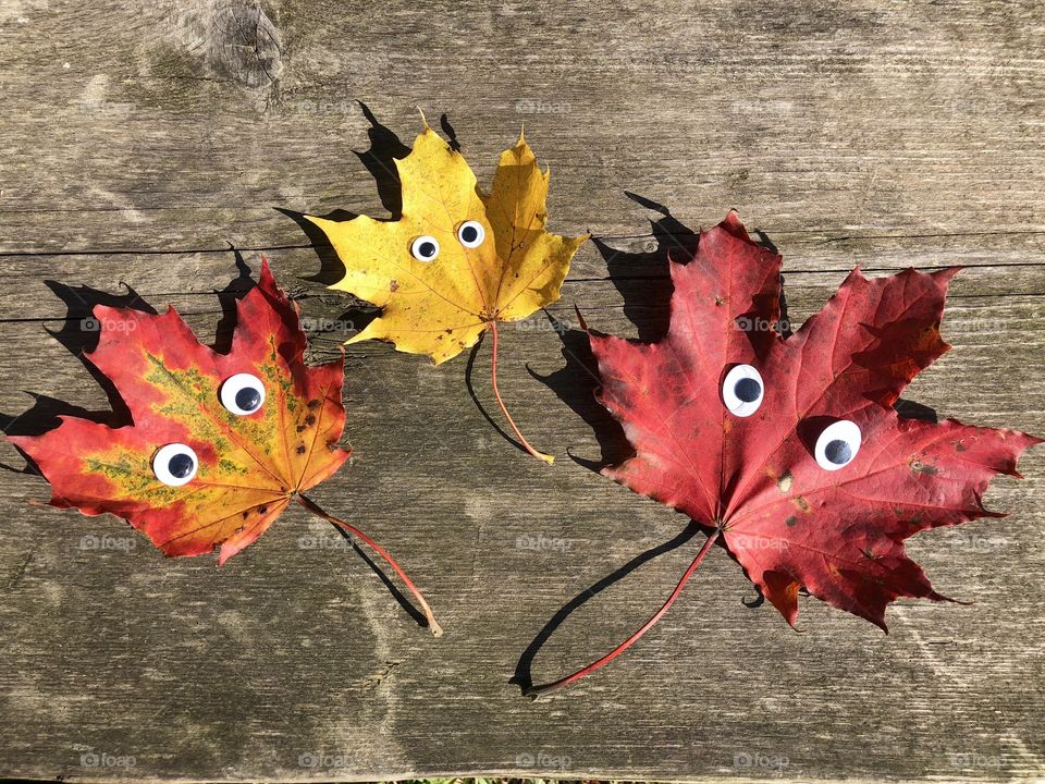 Colourful autumn leaves with black googly eyes on rustic wooden table