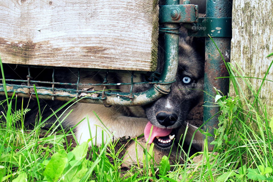 I have an eye on you