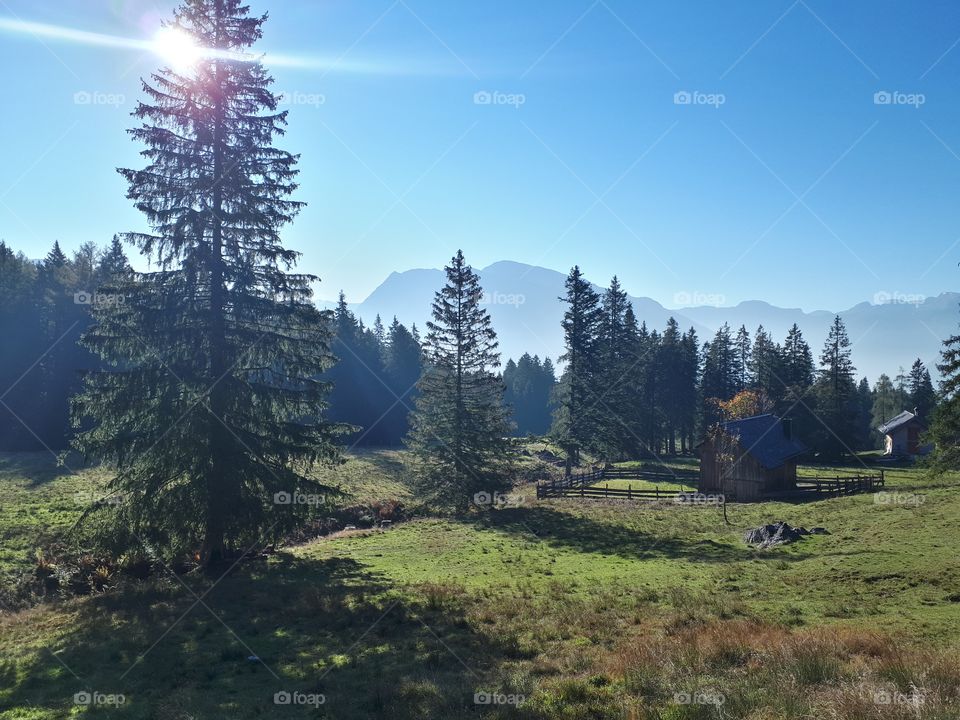 Roßmoosalm Bad Goisern