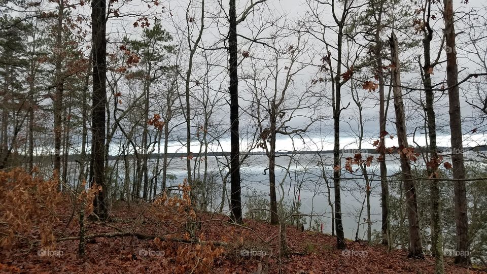 view of a lake through the trees .