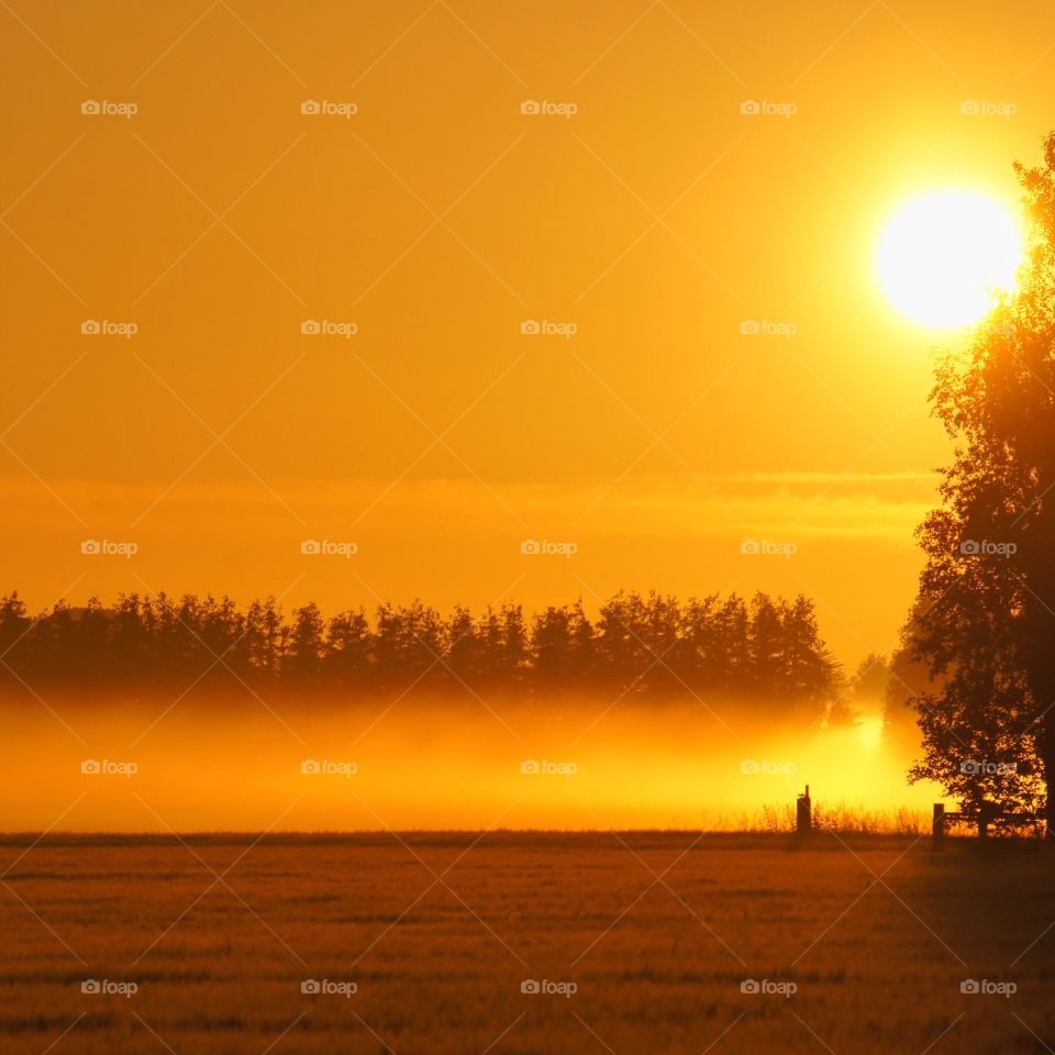 Sunrise over the fields