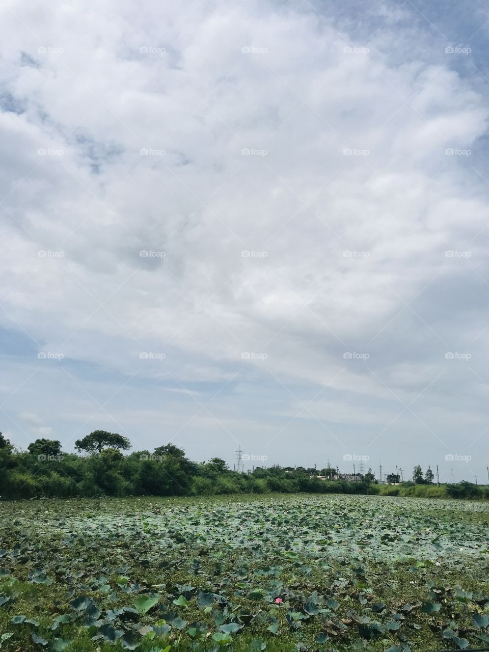 Sky#view#lake