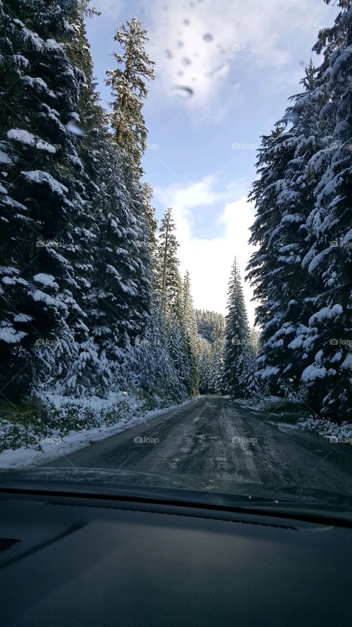 Driving up Mt. Rainier