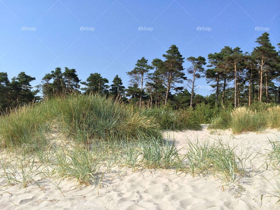 A day on the beach