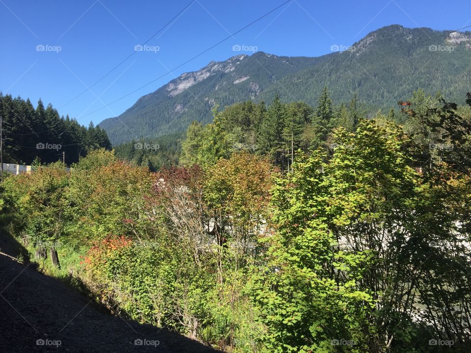 Nature, Landscape, Wood, Tree, Mountain