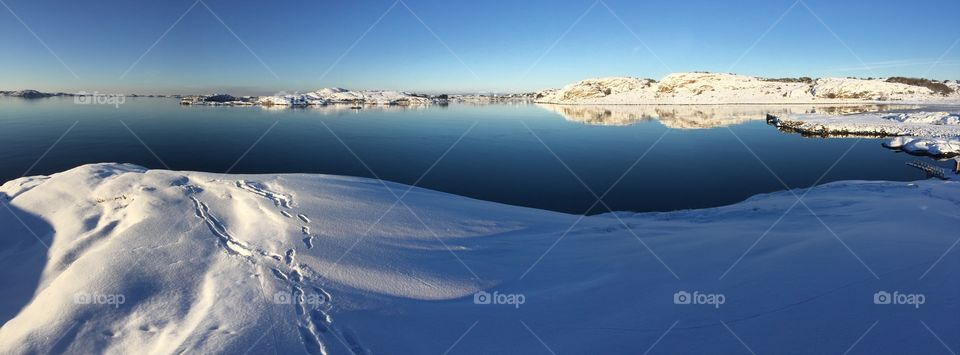 Scenic view of winter landscape