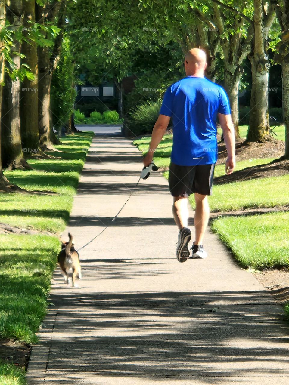 man in blue walking his dog down tree lined park sidewalk in Oregon on a sunny day