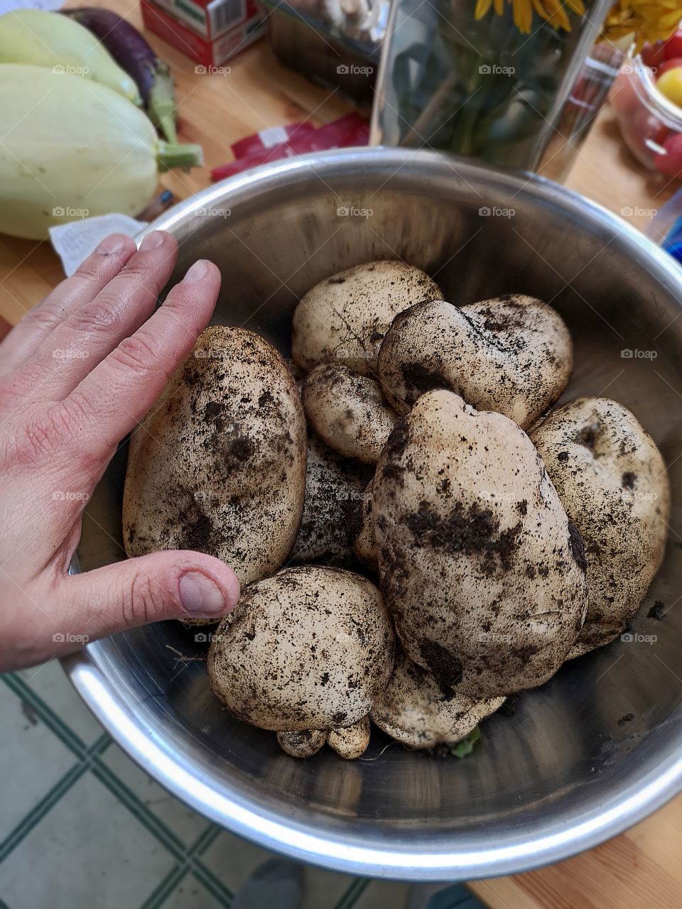 Fresh potatoes