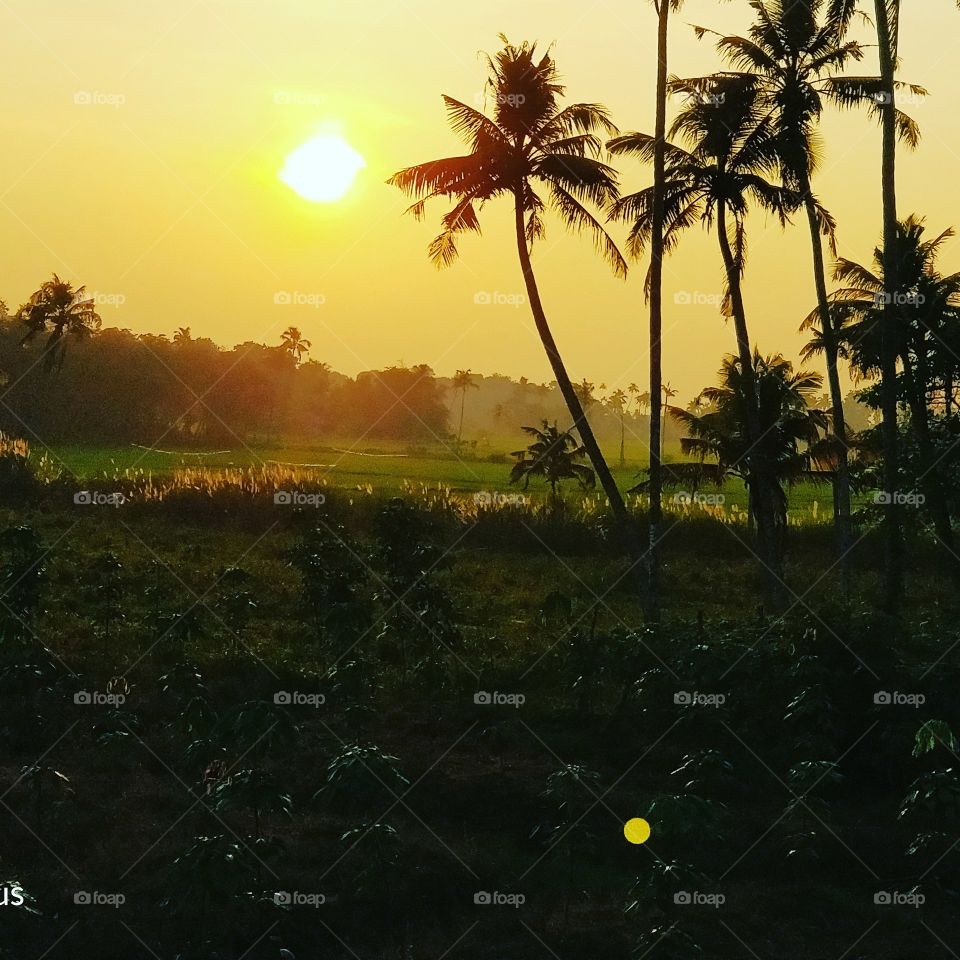 beautiful evening.......  love to take this pic but i really miss a DSLR for a better click