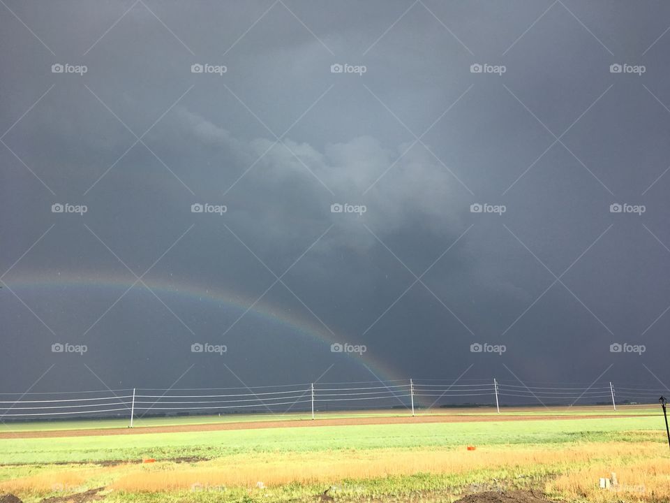 Rainbow and field