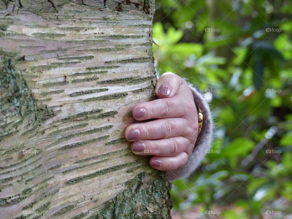 Tree Hugger Close Up