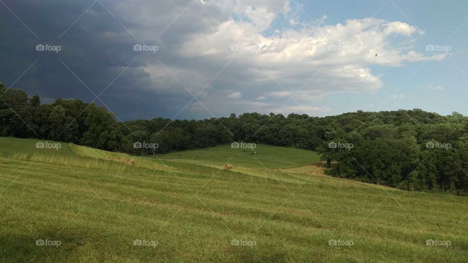 Darkening distant storm over neighboring horse farm with rolling green hills.