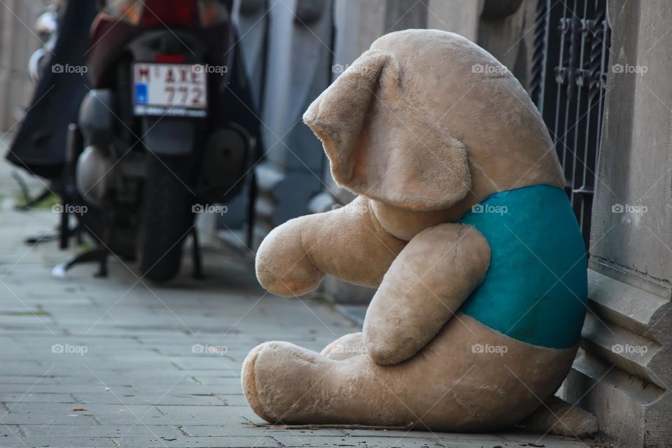 Too cute to be left on the street