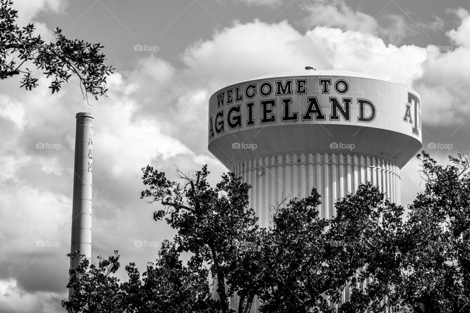 Texas A&M University