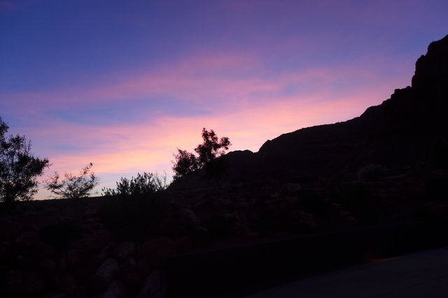 Purple pink