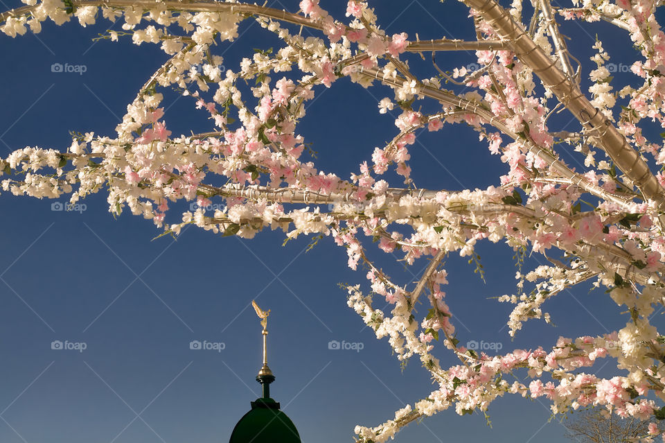 View of a cherry tree on a spring Easter morning in Holy Trinity Seraphim-Diveevsky monastery (Russia, Diveevo) on the background of a golden angel figure on the dome of a monastic building