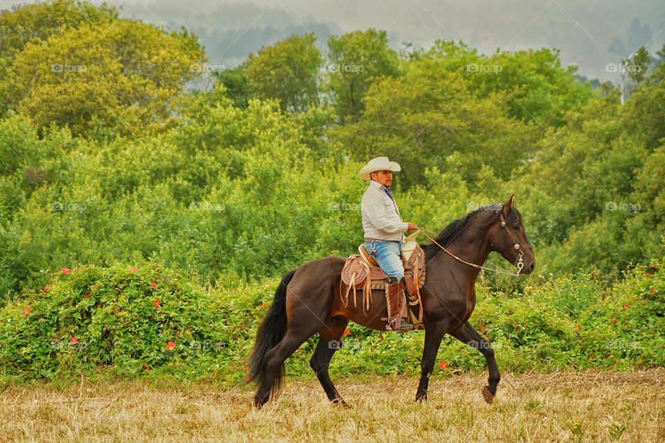 Lone Cowboy On Horseback