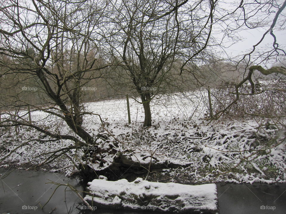 Winter In The Countryside