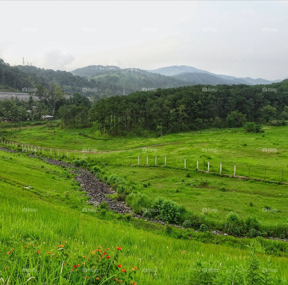 it's a green green land.. Scotland of India 🙂