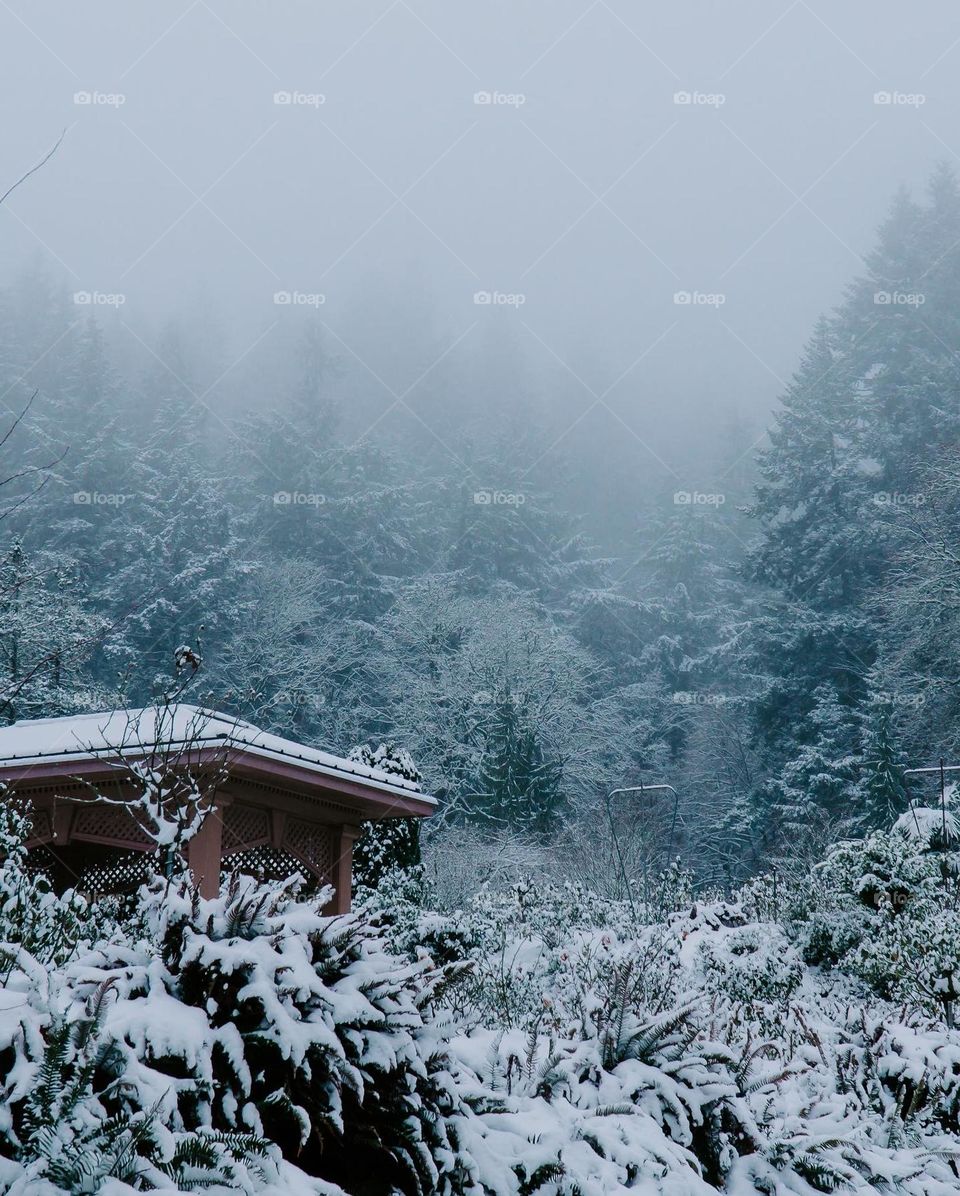 Surrounded fog and snow