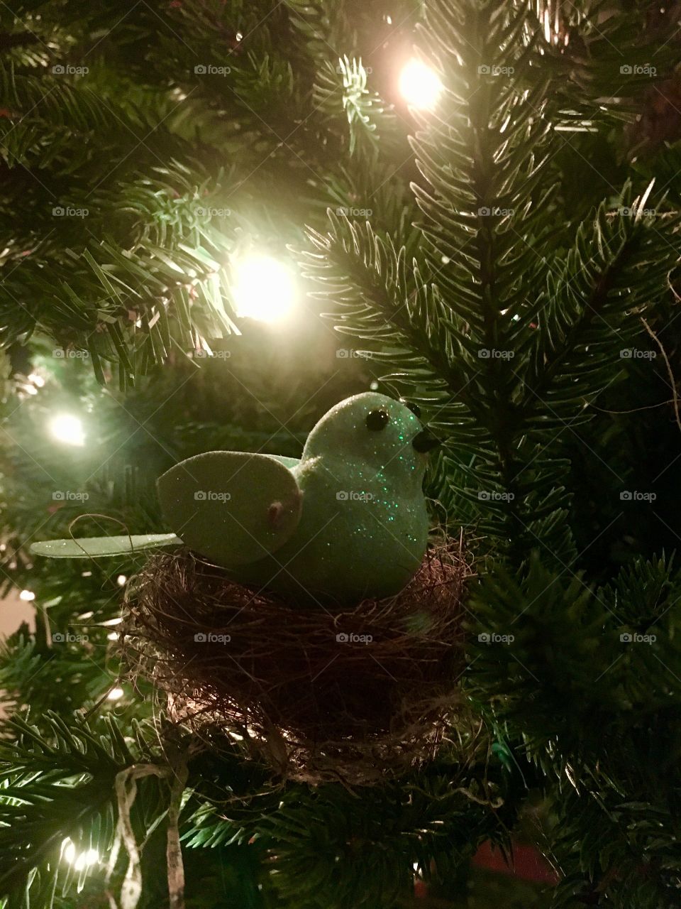 Making use of a nest we found. Happy holidays folks!