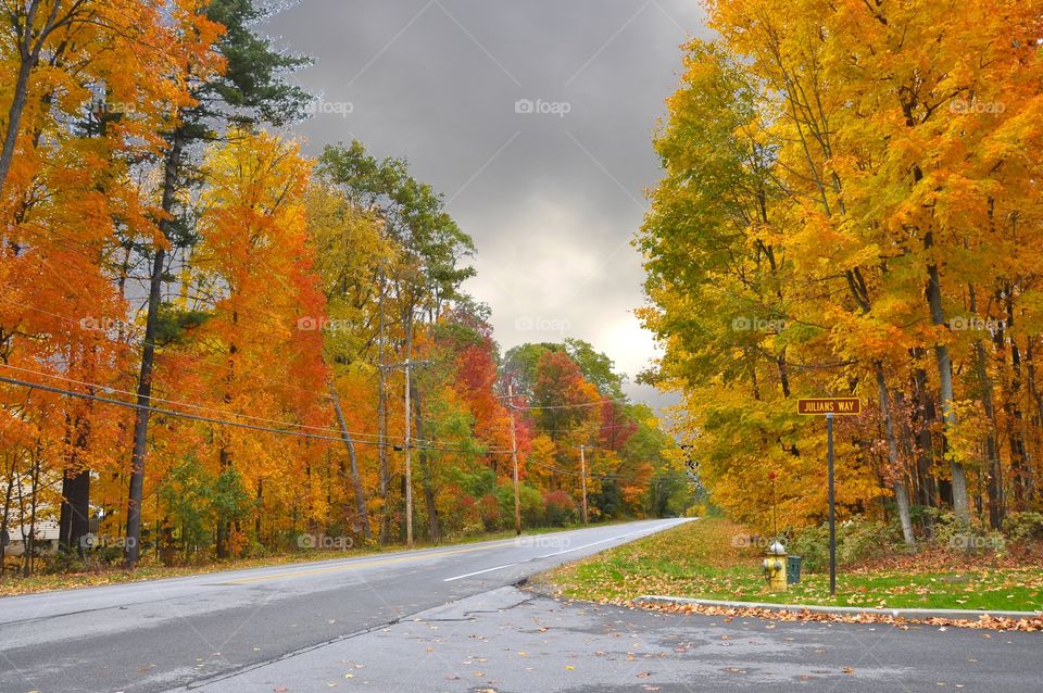 Saratoga in October. Fall foliage in upstate New York. The Adirondack mountains and Saratoga offers the most scenic foliage in the country. 