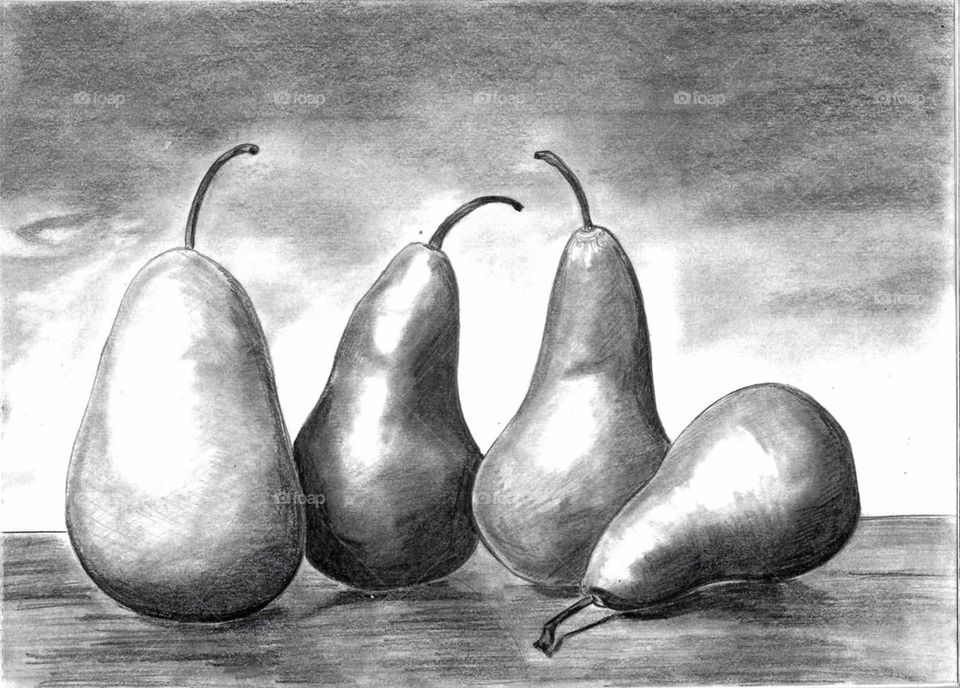 Pears (pencil drawing)