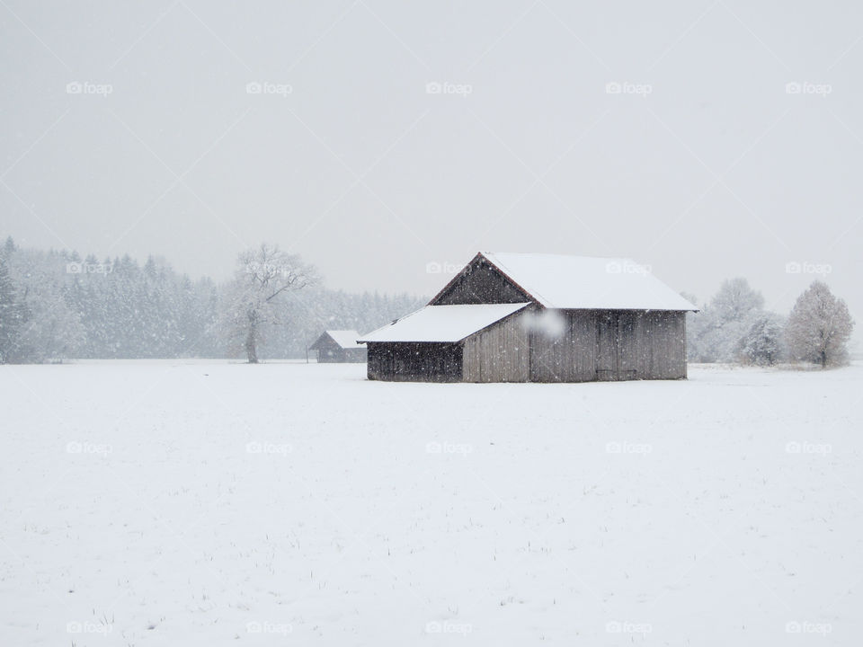 Bavaria