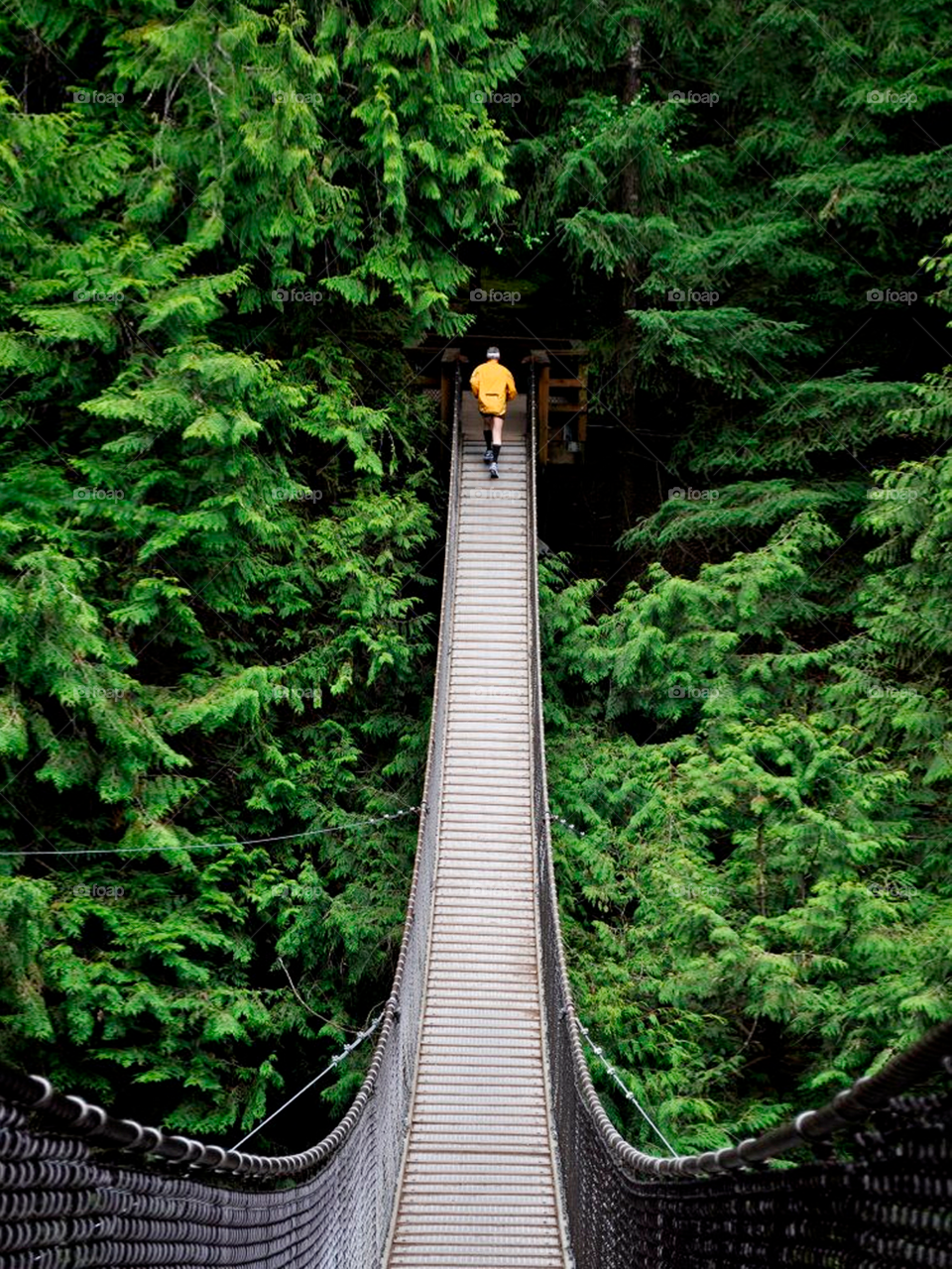 Man on the bridge suspend in the forest