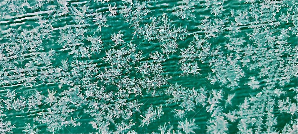 Ice flowers my sister calls these. They spring up overnight in the early morning when it’s coldest outside in the winter months. You can see each individual ice crystal. 2023. Hypnotic Productions