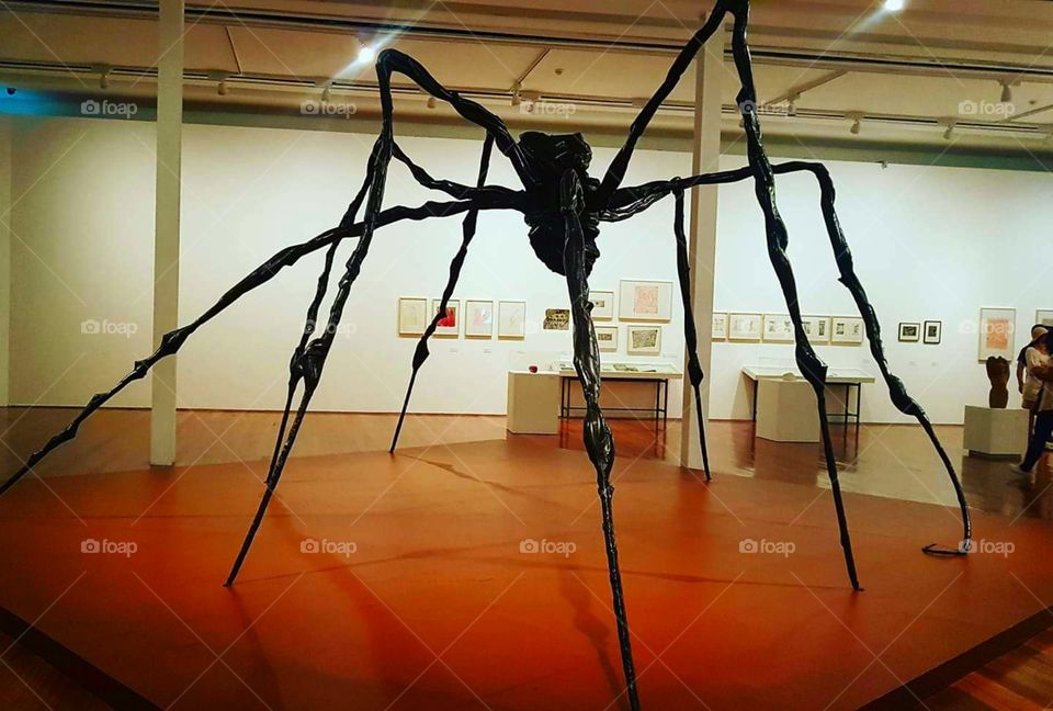 Aranha gigante