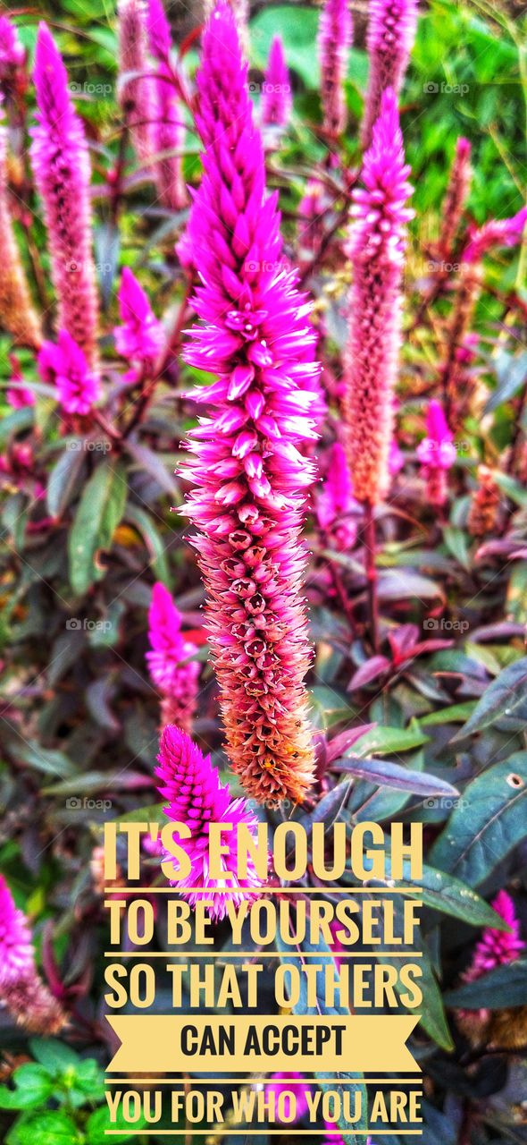 It's enough to be yourself so that others can accept you for who you are