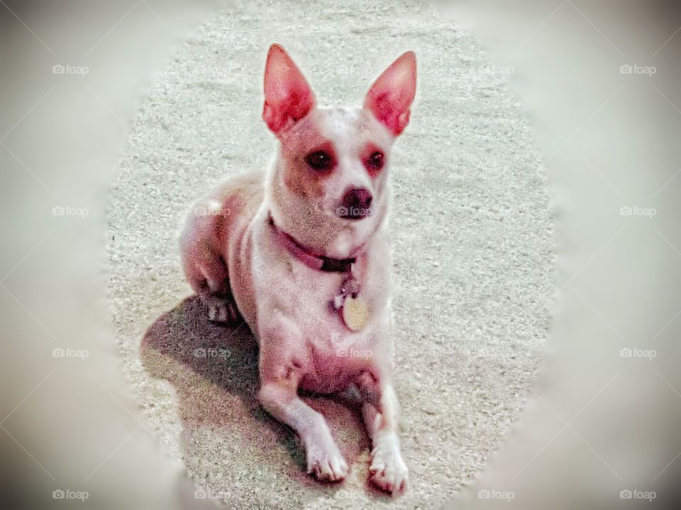 living BEAUTIFULLY & WONDERFULLY Made