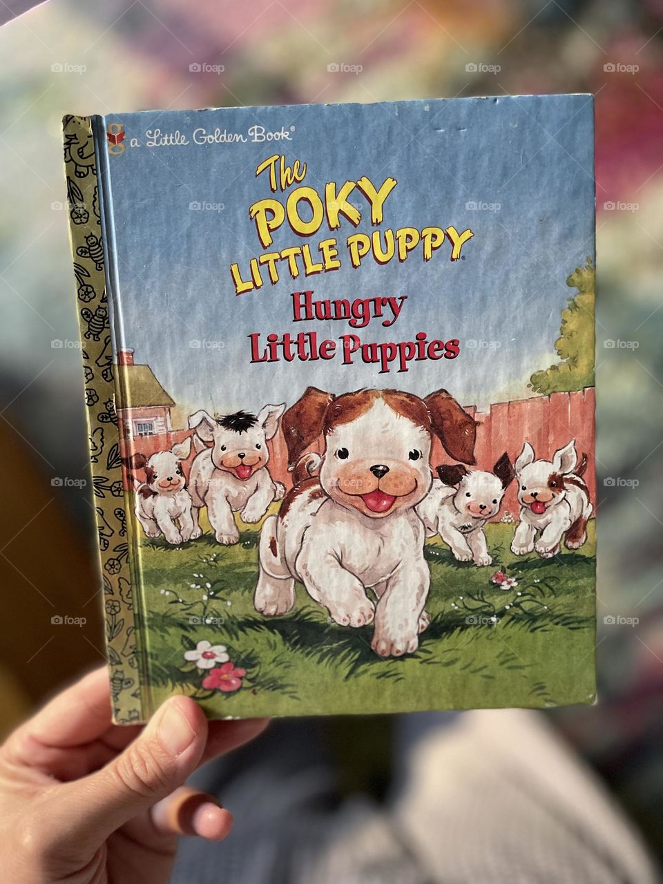 Classic Little Golden Book, reading books to children, classic books, The Poky Little Puppy Hungry Little Puppies book, hands holding books