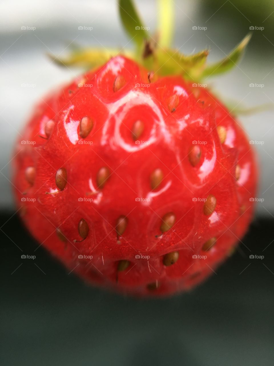 Strawberry 
