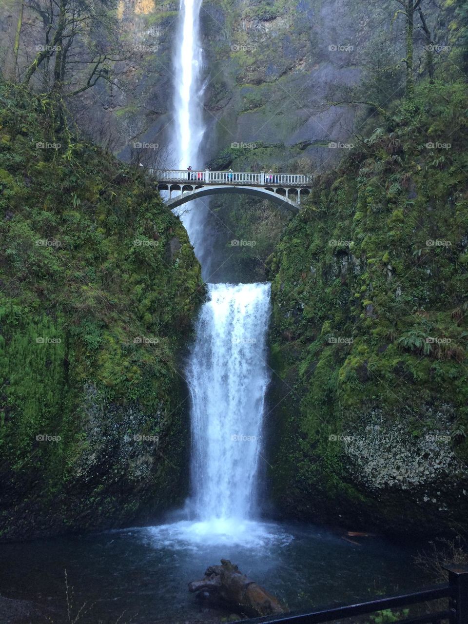 Multnomah Falls