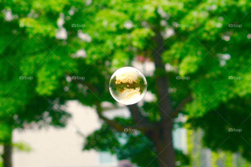 Bubble . Bubble in the park 