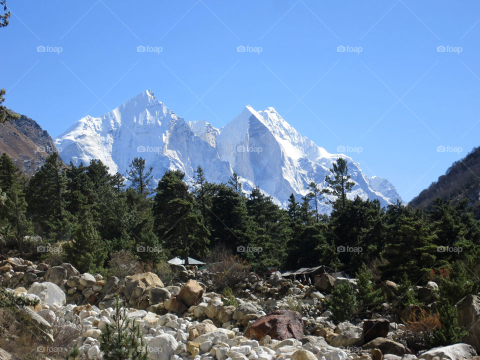 Gangotri National Park