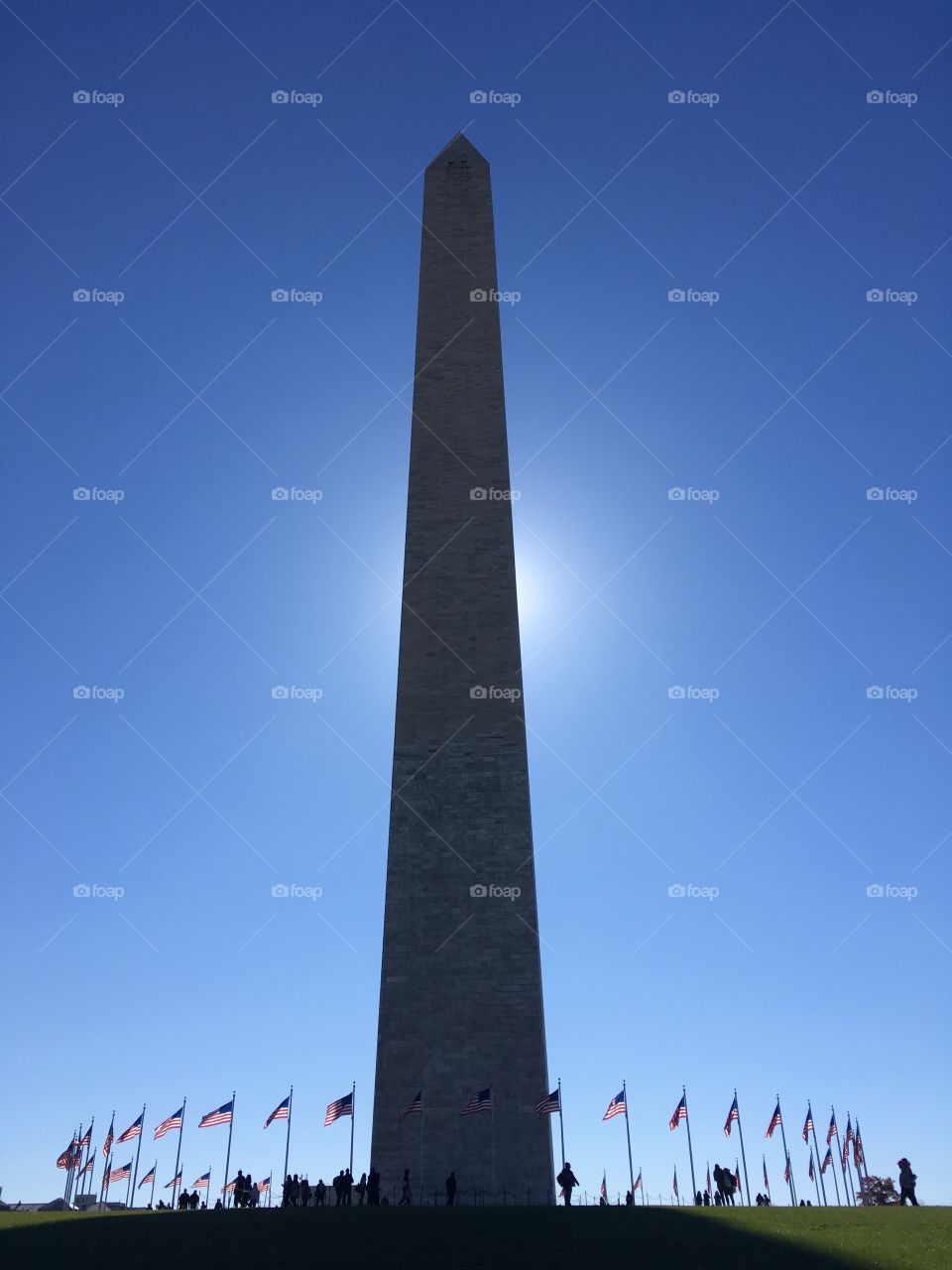 The Washington Monument 