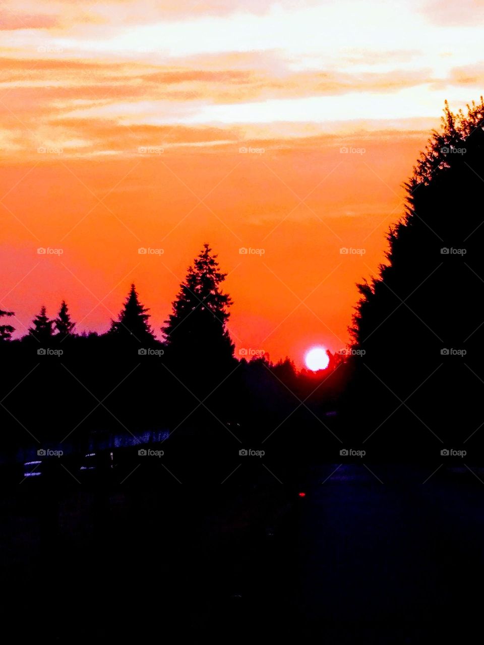 A serene sight with the sun slipping below the treeline creating a colorful backdrop of orange and yellows.