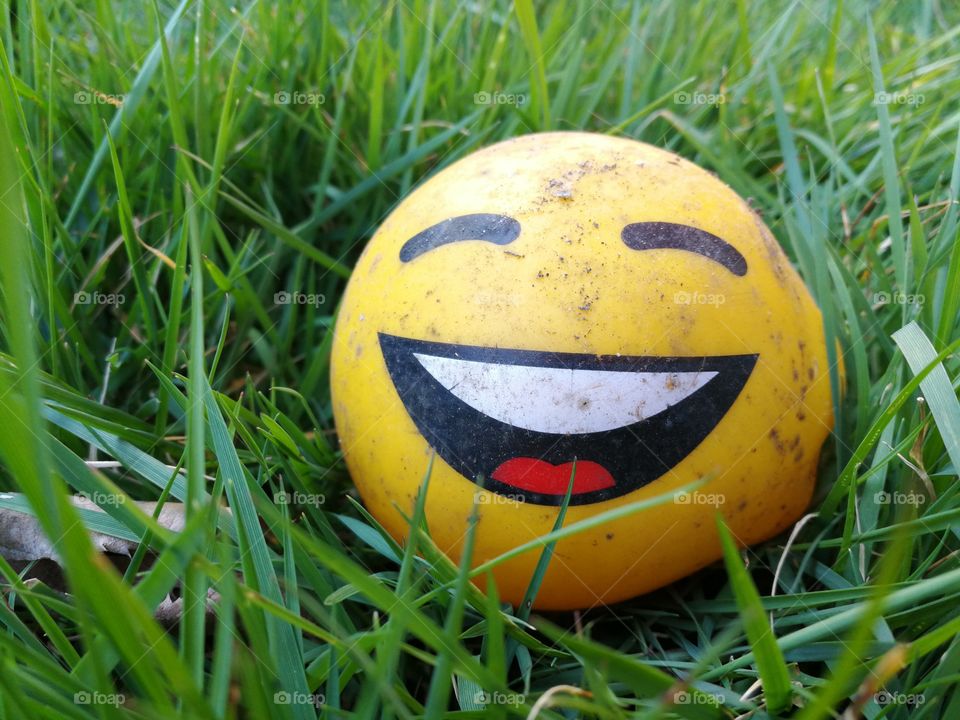 Yellow Happy Face ball in the grass