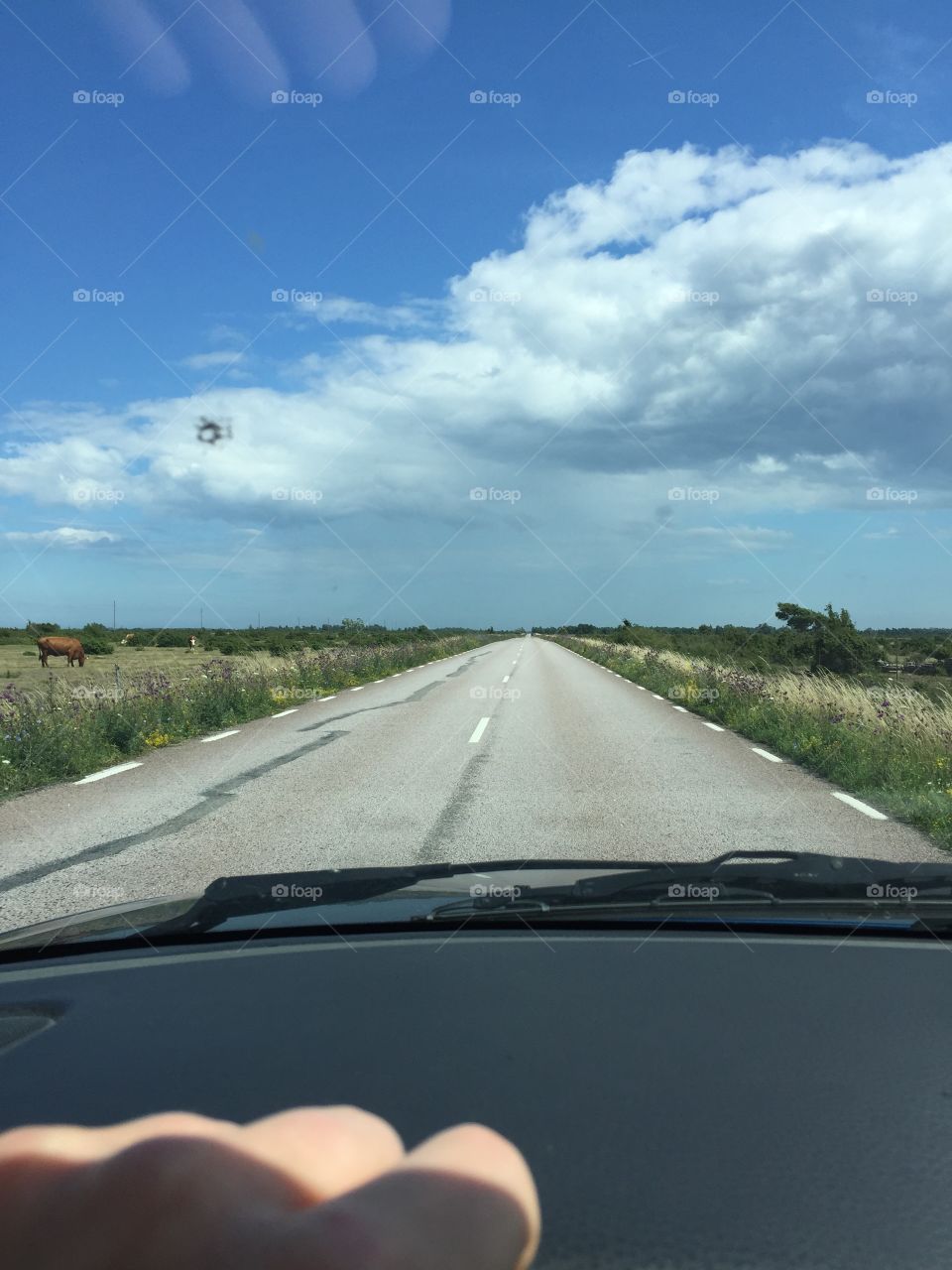 Car, Road, Transportation System, Landscape, Travel