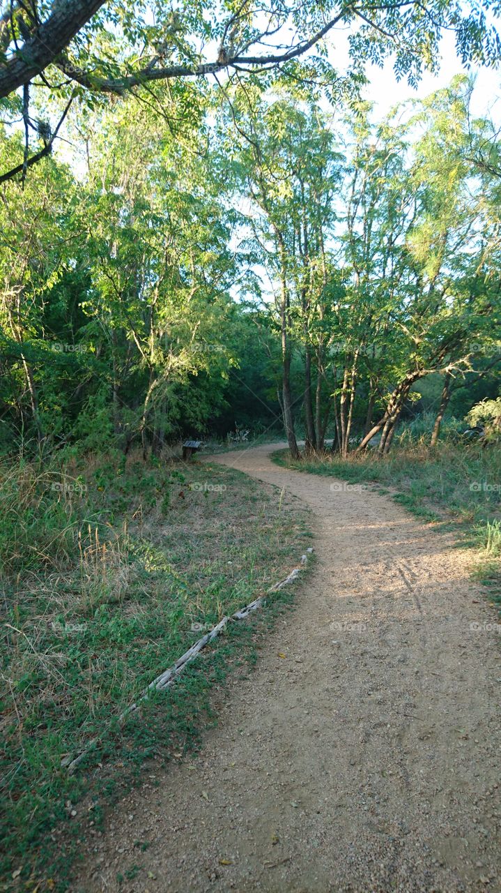 nature trail