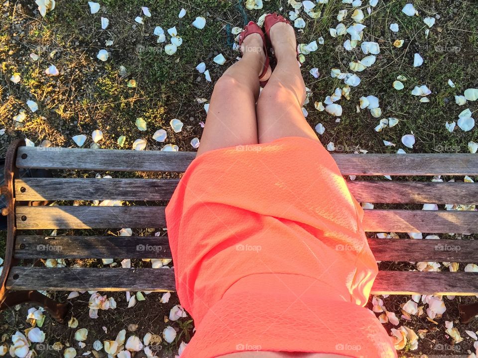 View from top of woman dressed in orange dress sitting on bench surrounded by rose petals