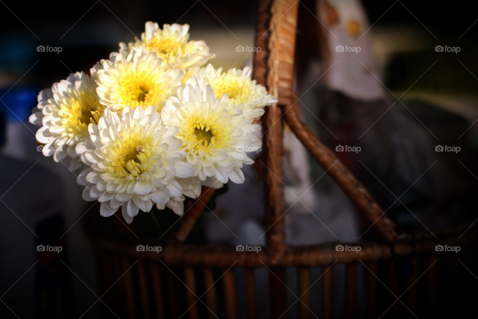 Fresh flowers. offer flower to monk, pray