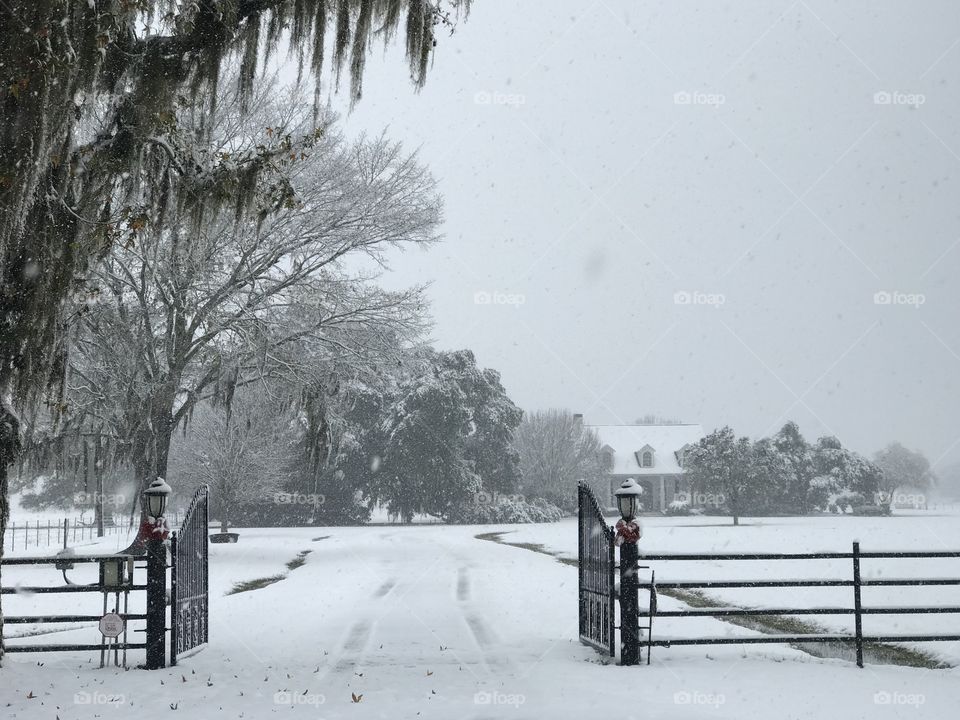 Snow in south Louisiana 