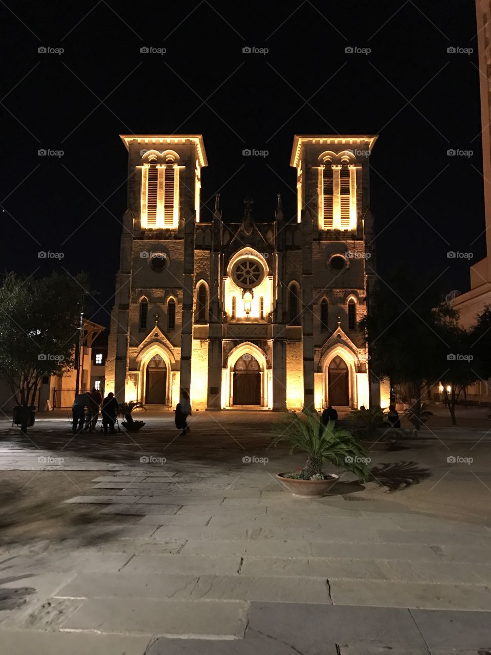 San Fernando Cathedral at night 