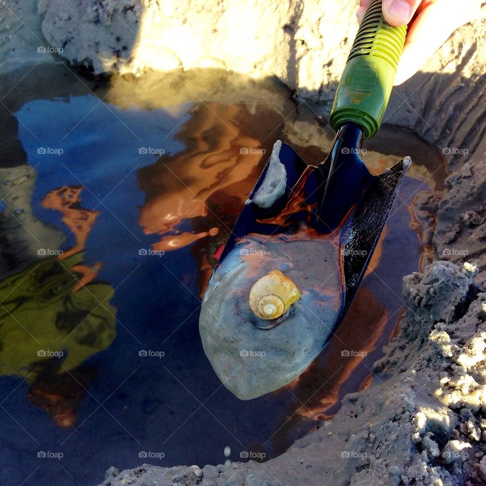 Found a hermit crab. Beach fun. Florida