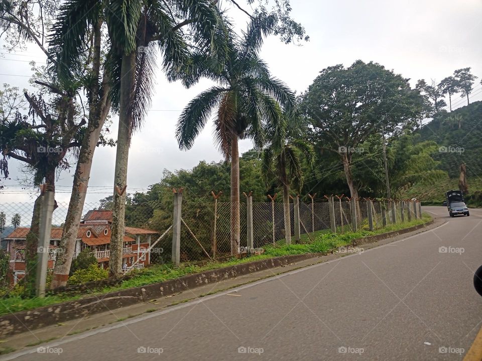 Viajando. Viaje en carro.