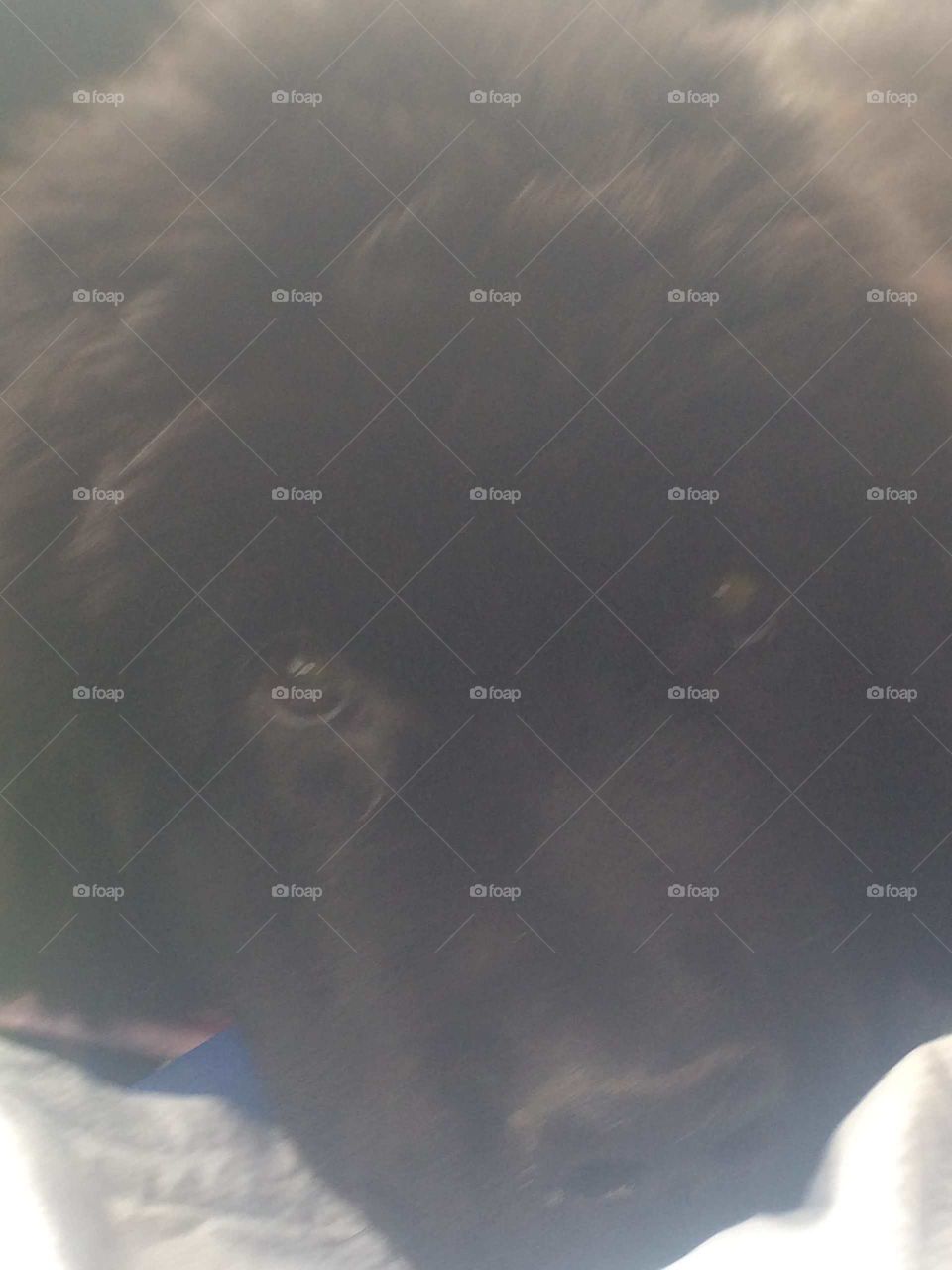 No Person, Snow, Winter, Landscape, Storm